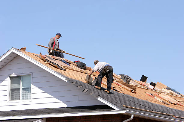 Best Storm Damage Roof Repair  in Coalville, UT